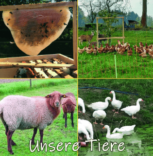 Unsere Tiere - Hofflyer Motiv